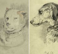 NELLIE HARRISON two drawings of dogs - entitled 'Low Life', 41 x 30cms and 'High Life', 35 x