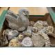 VINTAGE SEASHELL DECORATED BOXES & ORNAMENTS, large collection contained within four boxes - Image 4 of 8