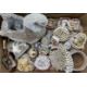 VINTAGE SEASHELL DECORATED BOXES & ORNAMENTS, large collection contained within four boxes - Image 5 of 8