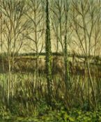 ATTRIBUTED TO JAMES MACINTYRE (Irish, 1926-2015) oil on canvas woodland view