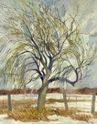 RITA BRIANSKY (Polish-Canadian, b. 1925) oil on canvas - study of a tree