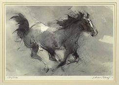 WILLIAM SELWYN (b. 1933) limited edition (139/500) print - galloping stallion