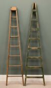 TWO VINTAGE WOODEN HARVEST LADDERS, tallest 221cms (h)
