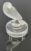 LALIQUE FROSTED GLASS FIGURE of preening turtle dove on circular clear base, etched signature