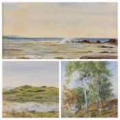 JOHN SINCLAIR (active 1871-1922) watercolours (3) - depicting gulls over a rocky shore, signed lower