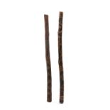 TWO ABORIGINAL DIDGERIDOOS, Australia, one painted, both incised with totemic animals and