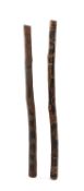 TWO ABORIGINAL DIDGERIDOOS, Australia, one painted, both incised with totemic animals and