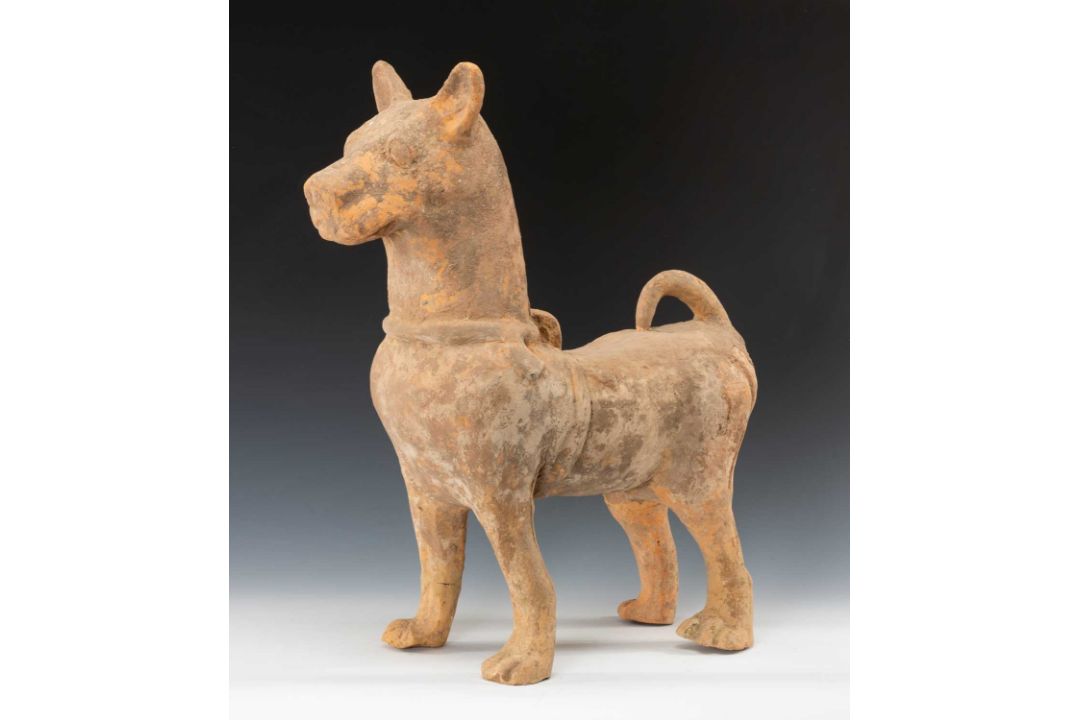 LARGE CHINESE HAN DYNASTY-STYLE TERRACOTTA MODEL OF A DOG, standing four square, 60cms (h)