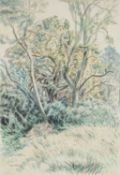 EDGAR HOLLOWAY (1914-2008) watercolour and pencil - entitled verso 'Garden Corner', signed and dated