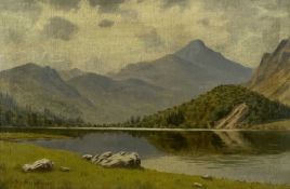 G WARREN WILLIAMS (Welsh 20th Century) rare oil on board - 'Llyn Gwynant', signed, 29 x 44cms