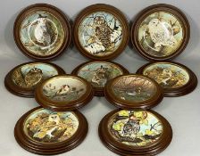 COALPORT BRADEX PLATE COLLECTION, depicting owls and other garden birds, all in wooden frames (10)