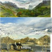 JAIN KOFFLER (British) oil on board - Eryri landscape, 25 x 50cms, and two other oils on canvas -