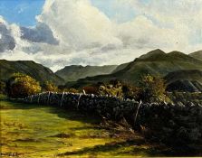 ARNOLD L. JONES oil on board - 'A View from Coetmor, Bethesda', initialled and dated verso 1999,