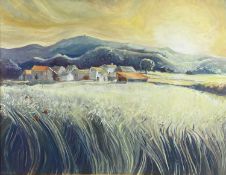HUMPHRY oil on canvas - entitled verso 'Sunset over Moel Famau', dated '98, 69 x 89cms Provenance: