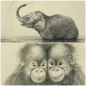 PETER HILDICK (British, b. 1949) two limited edition prints - sketches of wildlife, 'Shower Time' (