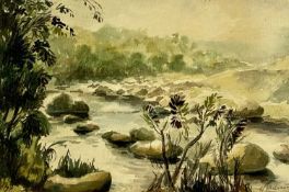 W. RICHARDSON watercolour - mountainous river, signed lower right, 36 x 53cms Provenance: private