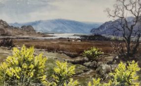 ANN WHALLEY S.W.A., watercolour, titled verso 'Spring Gorse at Cleddau', 35cm x 53cm. Comments: