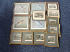 VARIOUS PRINTS & ENGRAVINGS: TIM HAVERS four limted edition (200/650) colour prints - 'Game Fish',