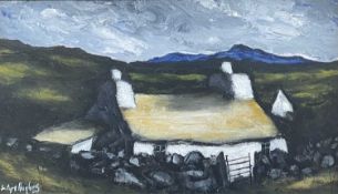 ‡ WYN HUGHES (b. 1965) oil on board - Welsh Farmhouse, untitled, signed lower right, 16 x 28.5cms