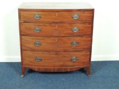 VICTORIAN MAHOGANY BOW FRONT CHEST OF DRAWERS, brass drop handles with embossed oval backplates,