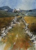 ROB PIERCY (b. 1946) watercolour - path leading up to mountainous Welsh farmhouse, signed lower
