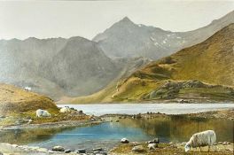 ‡ DEREK SHAPIRO oil on canvas - view of a river (Snowdon) from the miner's track, overlooking Llyn