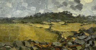 ‡ 20TH CENTURY BRITISH SCHOOL monogrammed S.R.B - impasto oil on board - landscape, monogrammed
