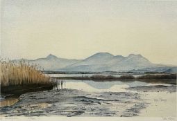 ROB PIERCY (b. 1946) limited edition (329/500) colour print - 'Moelwynion', signed, numbered and
