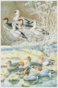 ‡ CHARLES FREDERICK TUNNICLIFFE OBE RA (1901-1979) limited edition (108/300) print - a sore of