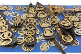 COLLECTION OF HORSE BRASSES, comprising 54 individual brasses, mounted on blue card background,