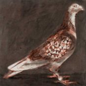 ‡ PHILIP MUIRDEN mixed media on paper - entitled 'Pigeon', signed, 24 x 24cms Provenance: private
