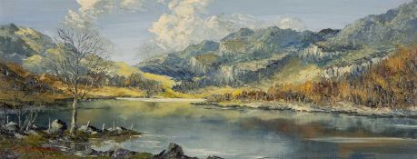 ‡ CHARLES WYATT WARREN oil on board - Nant Gwynant, Eryri (Snowdonia) with silver birch trees,