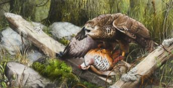 ‡ TERENCE LAMBERT (b.1951) watercolour, bodycolour and gum arabic - entitled 'Buzzard and a Red-