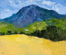 ‡ GWILYM PRICHARD oil on canvas - entitled verso 'Cader Idris - Yr Haf' on Martin Tinney Gallery
