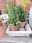 THREE POTTED DWARF CONIFERS, and a reconstituted stone square jardiniere (4) Provenance: private