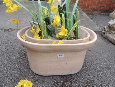 TERRACOTTA COLD STORAGE BOX 'The Zebo Cool' with artificial plants Provenance: The Cornelia Bayley