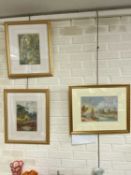 CHARLES B. DICKINS (19th century) pair of watercolours - 'The Woods, Bidston' and 'Bidston Hill',