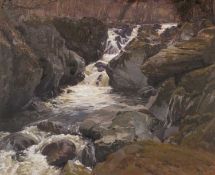 ‡ DAVID WOODFORD oil on board - Falls on the river (afon) Conwy, 36 x 44cms Provenance: private