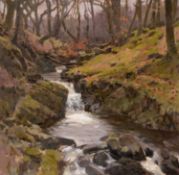 ‡ DAVID WOODFORD oil on board - flowing woodland stream, signed, 27 x 27cms Provenance: private
