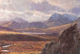 ‡ DAVID WOODFORD oil on board - Eryri (Snowdonia) landscape, Cwm y Ffynnon and Crib Goch, signed, 20