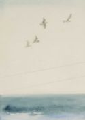‡ ELERI MILLS watercolour & pencil - gulls in flight, signed, 29 x 22cms Provenance: private