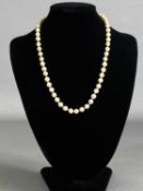 CULTURED PEARL NECKLACE with pierced 9ct gold clasp, 41cms (l) Provenance: private collection