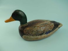 PAINTED WOODEN DUCK DECOY, early 20th century, in the form of a male mallard, 17 (h) x 38cms (w)