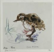 ‡ ISHBEL McWHIRTER (British, b. 1927) limited edition (114/500) colour print - entitled 'Baby Tern',
