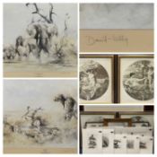 ‡ DAVID KELLY pair of limited edition wildlife prints, and assorted other framed prints and