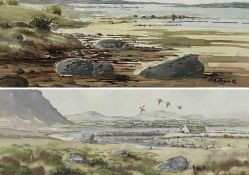 ‡ ROBERT BERTIE HIGGINS (Irish, b. 1943) pair of watercolours - wetland birds in flight, signed