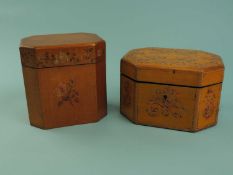 TWO 19TH CENTURY OCTAGONAL TEA CADDIES, one with floral painted decoration, 12 (h) x 12 (w) x