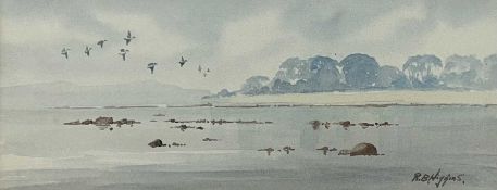 ‡ ROBERT BERTIE HIGGINS (Irish, b. 1943) watercolour - wetland birds in flight, entitled verso '