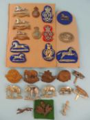 ASSORTED MILITARY CAP BADGES, including King's Colonials, Australasian Squadron cap badge; British