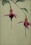 UNKNOWN oil on board - intriguing little painting of fuchsia, unsigned, 15 x 10.5cms Provenance: